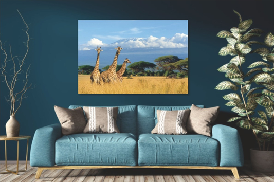Glasschilderij 3 giraffen op de savanne 120x80 cm (magazijn sale)