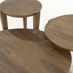 Salontafel Davina Eleonora 60 cm rond - Geborsteld mangohout - Small