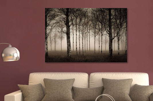 Glasschilderij Berkenbos 120x80 cm