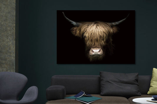 Glasschilderij Schotse hooglander close up 160x110 cm