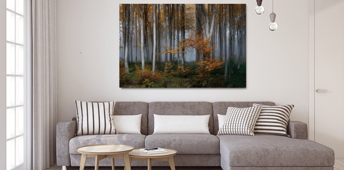 Glasschilderijen natuur