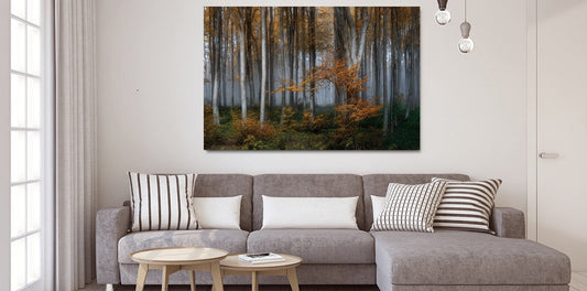 Glasschilderijen natuur