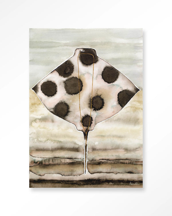 Glasschilderij Eagle Ray - Urban Cotton