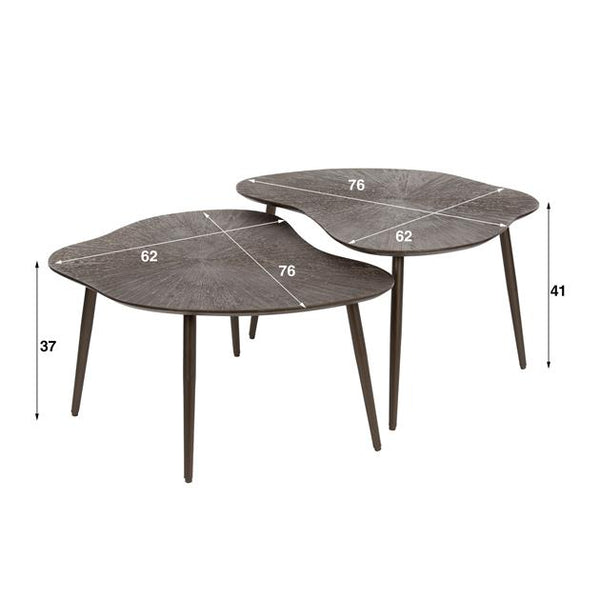 Salontafel set van 2 stuks leaf ray metal / Bruin brons