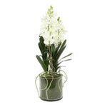Kunstbloem in glazen pot Dendrobium wit - 56 cm hoog