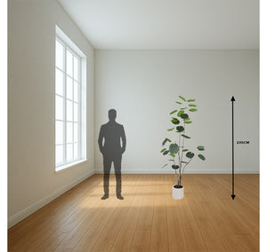 Kunst plant Polyscias in pot - 230 cm hoog