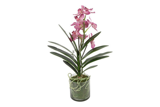 Kunstbloem in glazen pot Dendrobium roze - 62 cm hoog