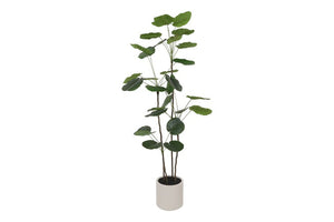 Kunst plant Polyscias in pot - 180 cm hoog