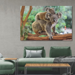 Glasschilderij 2 Koala beren  120x80 cm
