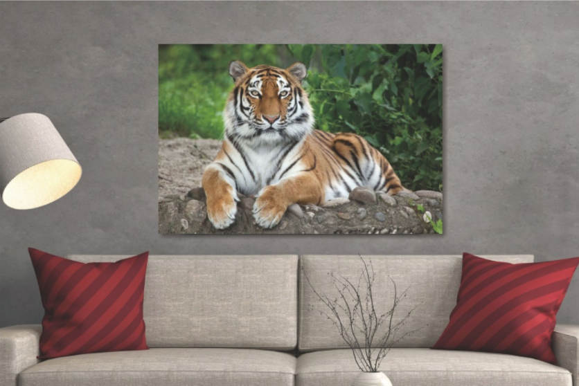 Glasschilderij tijger 120x80 cm