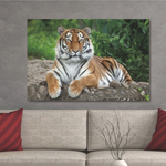 Glasschilderij tijger 120x80 cm