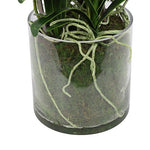 Kunstbloem in glazen pot Dendrobium roze - 62 cm hoog