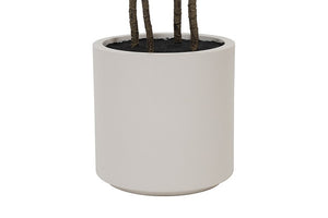 Kunst plant Polyscias in pot - 180 cm hoog