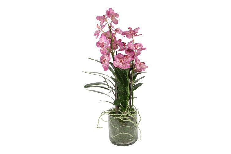 Kunstbloem in glazen pot Dendrobium roze - 82 cm hoog