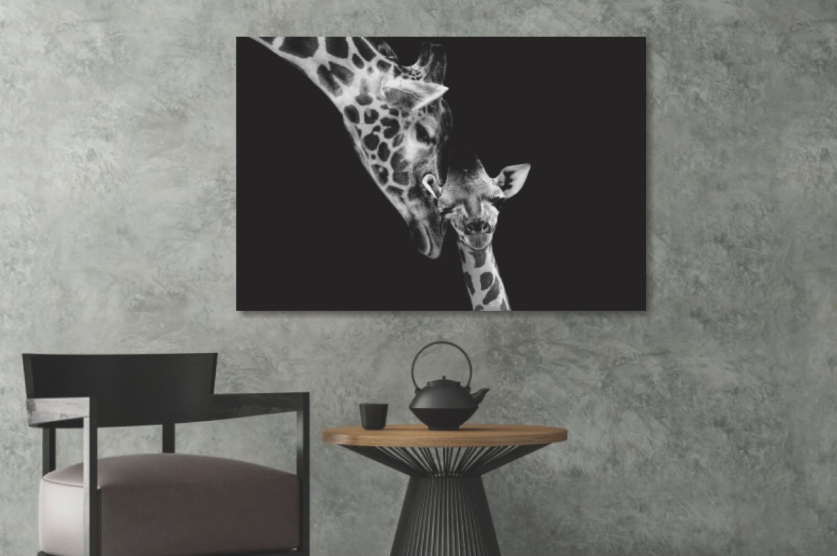 Glasschilderij Giraffen zwart/wit 120x80 cm (magazijn sale)