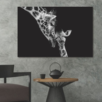 Glasschilderij Giraffen zwart/wit 120x80 cm