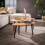 Salontafel set/2 niervormig organisch (Magazijn sale)