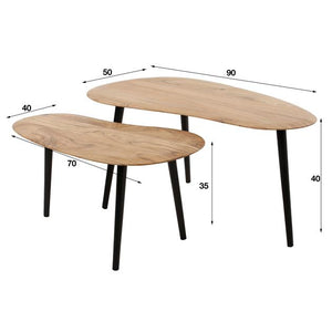 Salontafel set/2 niervormig organisch (Magazijn sale)