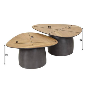 Salontafel set/2 infinite / Gerecycled teakhout fineer (Magazijn sale)