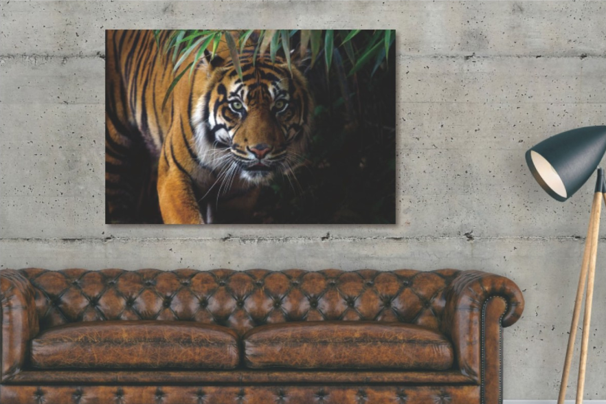 Glasschilderij Tijger close-up 120x80 cm (magazijn sale)