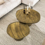 Salontafel set van 2 Eclips / Goud antiek finish