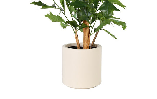 Kunst plant Caryota in pot groen- 180 cm hoog