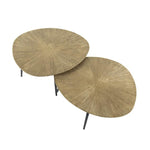 Salontafel set van 2 organisch ray metal / Brons ray metal