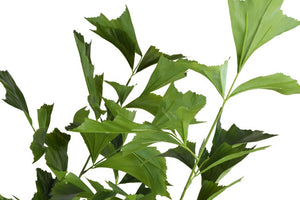 Kunst plant Caryota in pot groen- 180 cm hoog