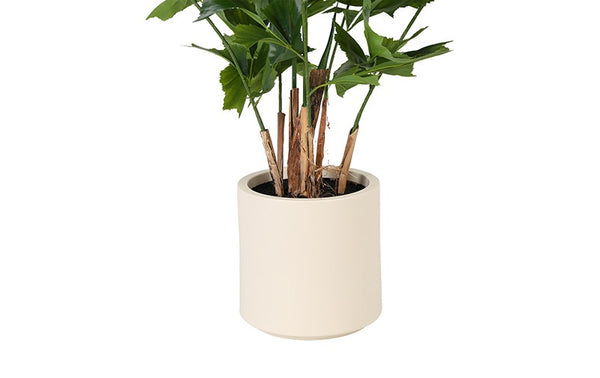 Kunst plant Caryota in pot groen- 150 cm hoog