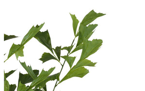 Kunst plant Caryota in pot groen- 120 cm hoog