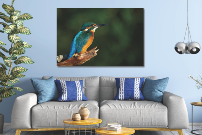 Glasschilderij Ijsvogel  op tak 120x80 cm