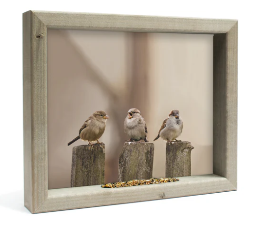 Feedy Vogelvoederlijst medium - Drie gezellige mussen  (Magazijn sale b-keus)