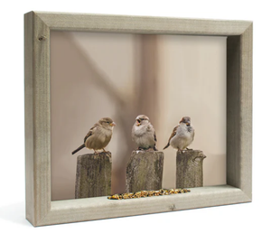 Feedy Vogelvoederlijst medium - Drie gezellige mussen  (Magazijn sale)