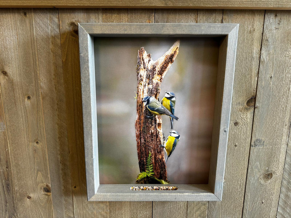 Feedy Vogelvoederlijst large - 3 pimpelmeesjes op stam (42x 51 cm)