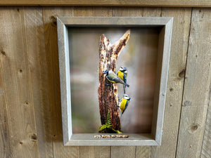 Feedy Vogelvoederlijst large - 3 pimpelmeesjes op stam (42x 51 cm)