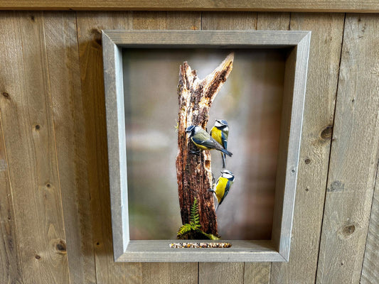 Feedy Vogelvoederlijst large - 3 pimpelmeesjes op stam (42x 51 cm)