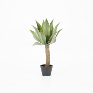 Agave kunstplant op stam small By-Boo - Realistisch en sfeerfvol