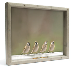 Feedy vogelvoederlijst large - 4 mussen op de grond (51x42 cm)
