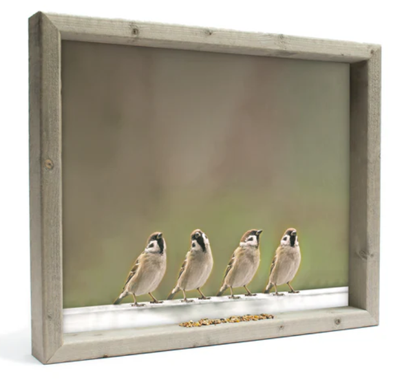 Feedy vogelvoederlijst large - 4 mussen op de grond (51x42 cm)