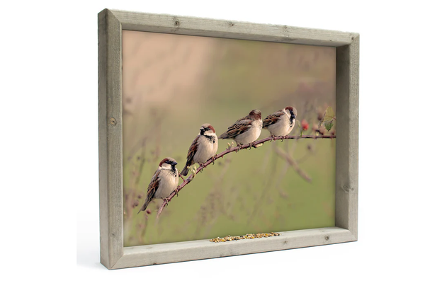 Feedy vogelvoederlijst large - 4 mussen op tak (51x42 cm)