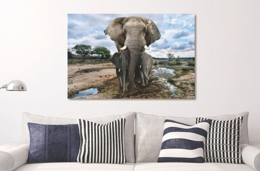 Glasschilderij 3 Olifanten in de natuur 120x80 cm
