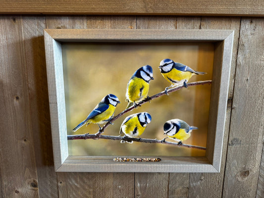 Feedy vogelvoederlijst large - 5 pimpelmeesjes op tak (51x42 cm)