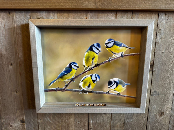 Feedy vogelvoederlijst large - 5 pimpelmeesjes op tak (51x42 cm)