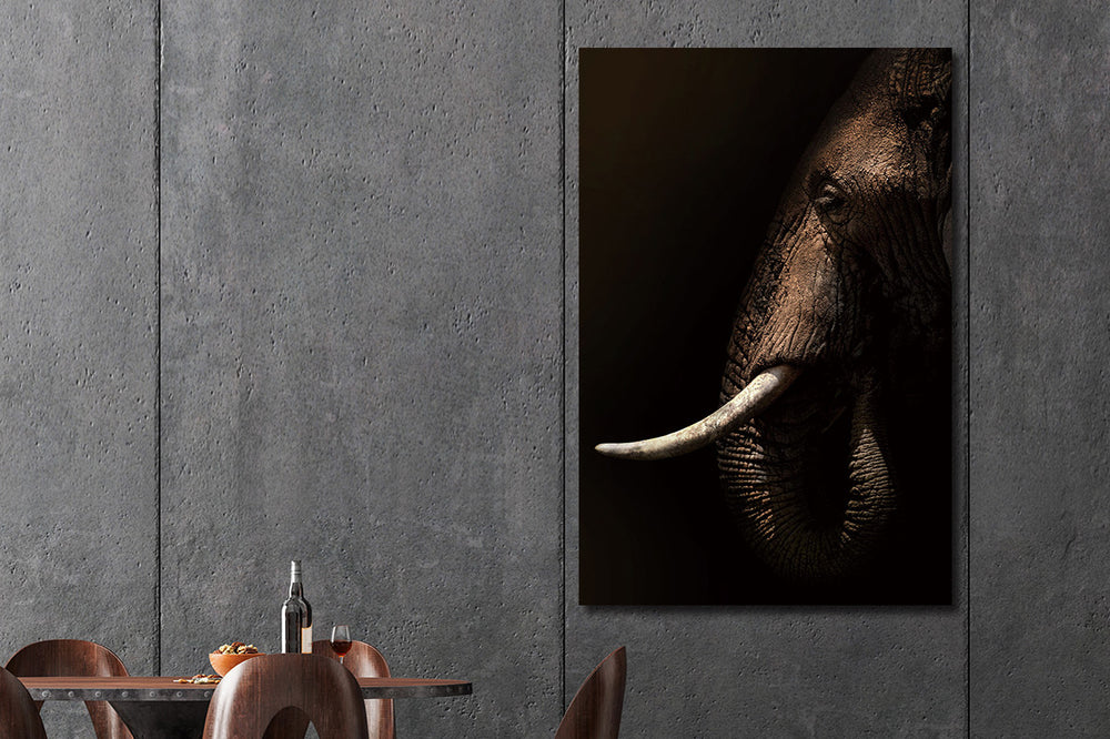 Glasschilderij Olifant zijaanzicht zwarte achtergrond 80x120 cm