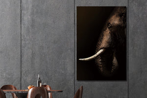 Glasschilderij Olifant zijaanzicht zwarte achtergrond 80x120 cm