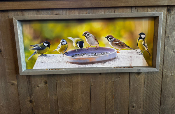 Feedy Vogelvoederlijst  panorama - 6 vogels bij voederplaats (102 x 42 cm)