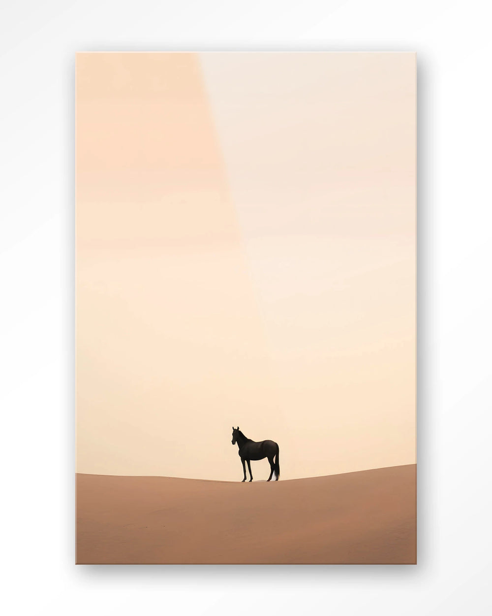 Glasschilderij Desert Horse - Urban Cotton