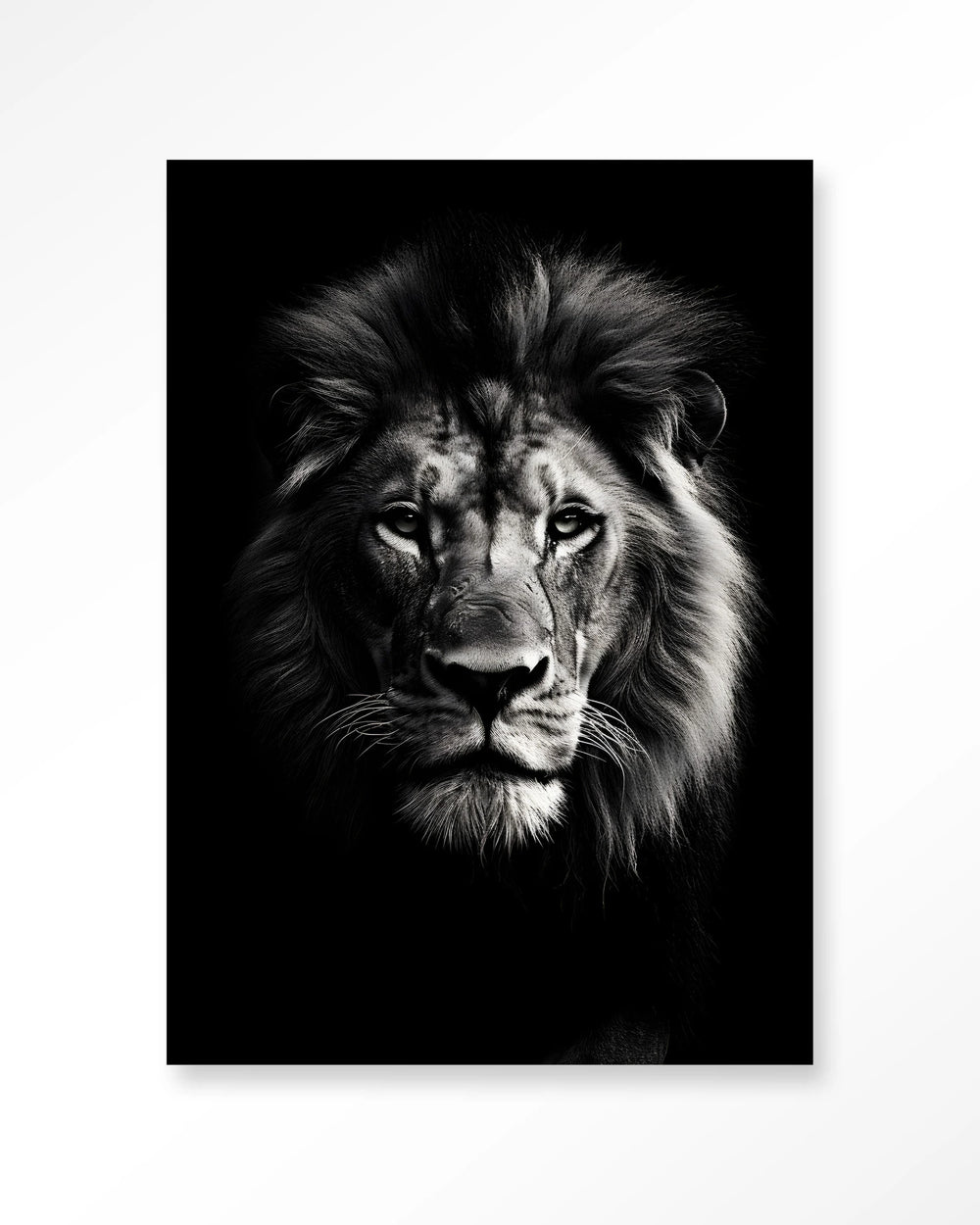 Glasschilderij Mighty Lion - Urban Cotton