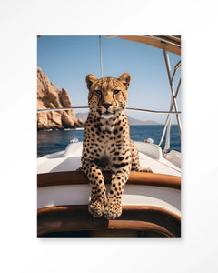 Glasschilderij Sailboat Cheetah - Urban Cotton
