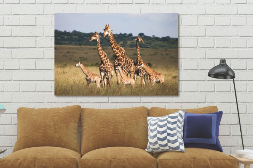 Glasschilderij Giraffen kudde 120x80 cm